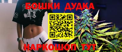прущие грибы Можга