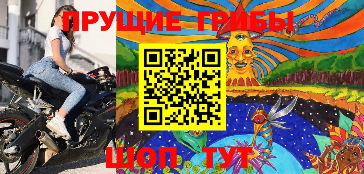 Псилоцибиновые грибы Psilocybe Алатырь